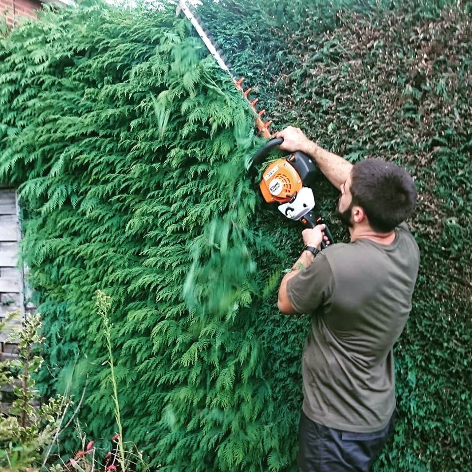 Here I am trimming hedges, which is one of the main gardener services that I offer in the Gloucester area